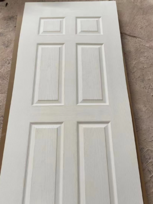 Door Skin