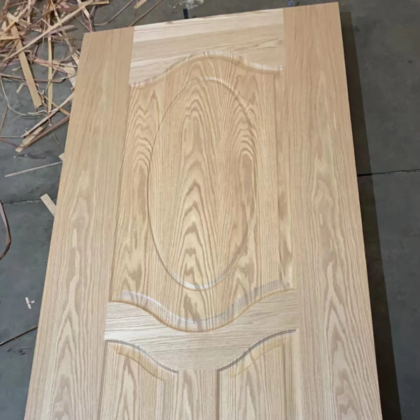Door Skin